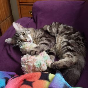 Meet your Posher, Heather